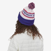 Patagonia Powder Town Beanie 2024