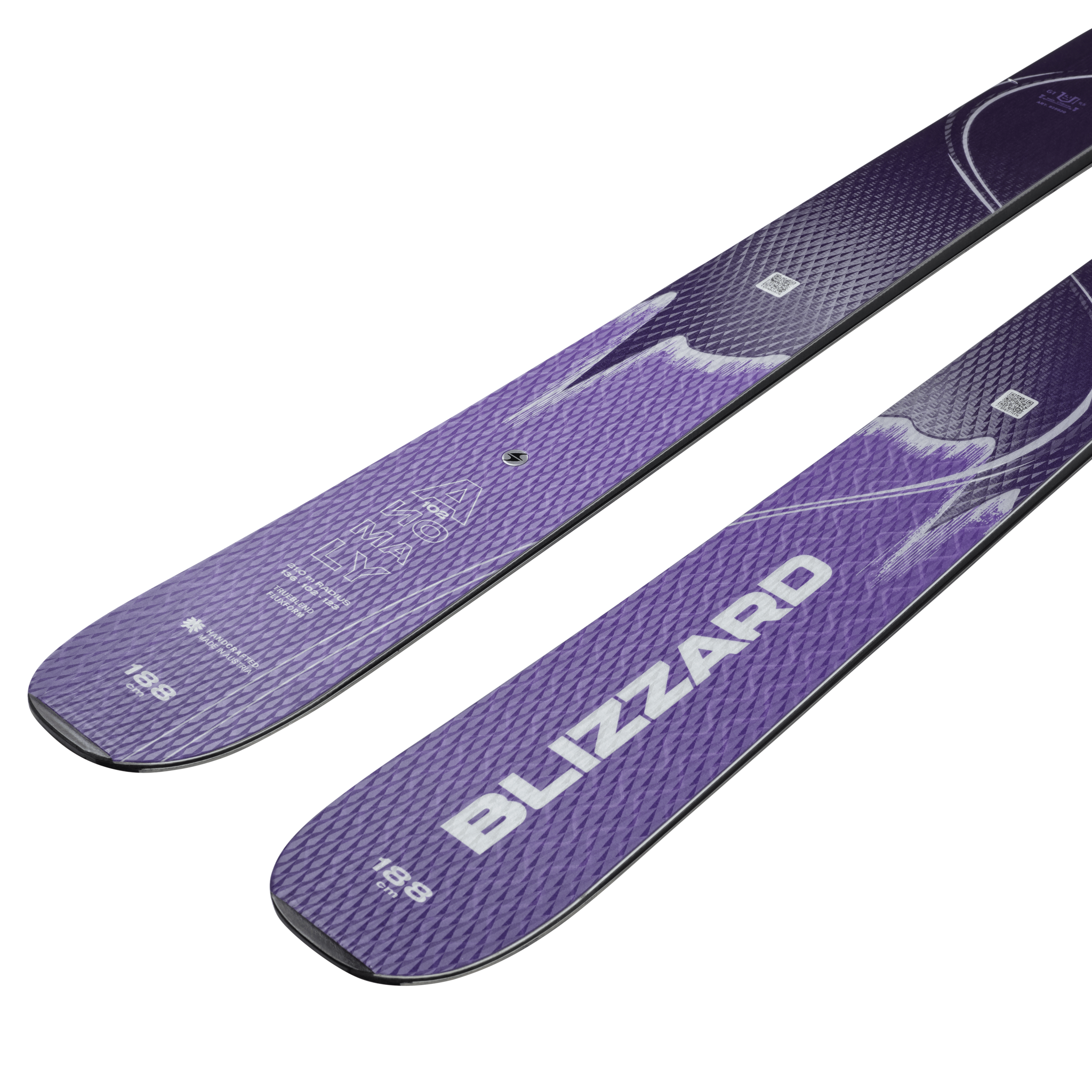 Blizzard Anomaly 102 2025