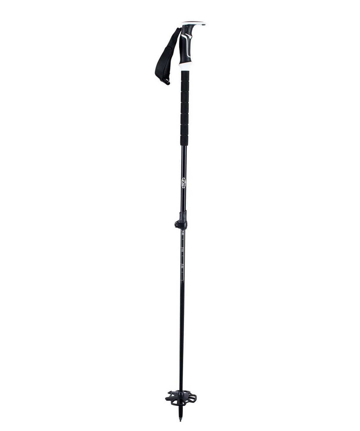 bca-2021-scepter-pole-carbon-aluminum-black.jpg