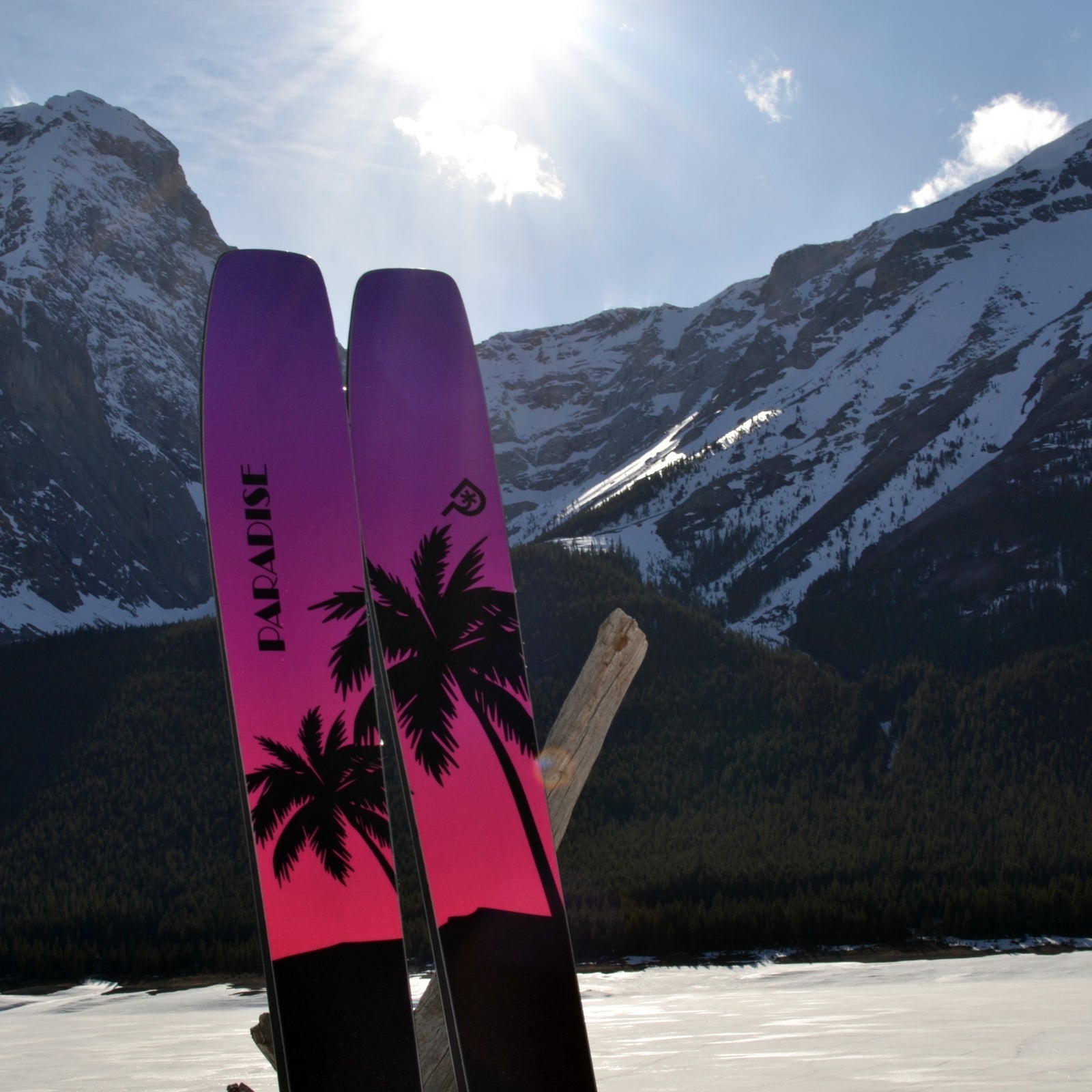 Paradise Vice 113 Ski 2024