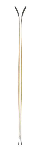 Blizzard Anomaly 94 2026