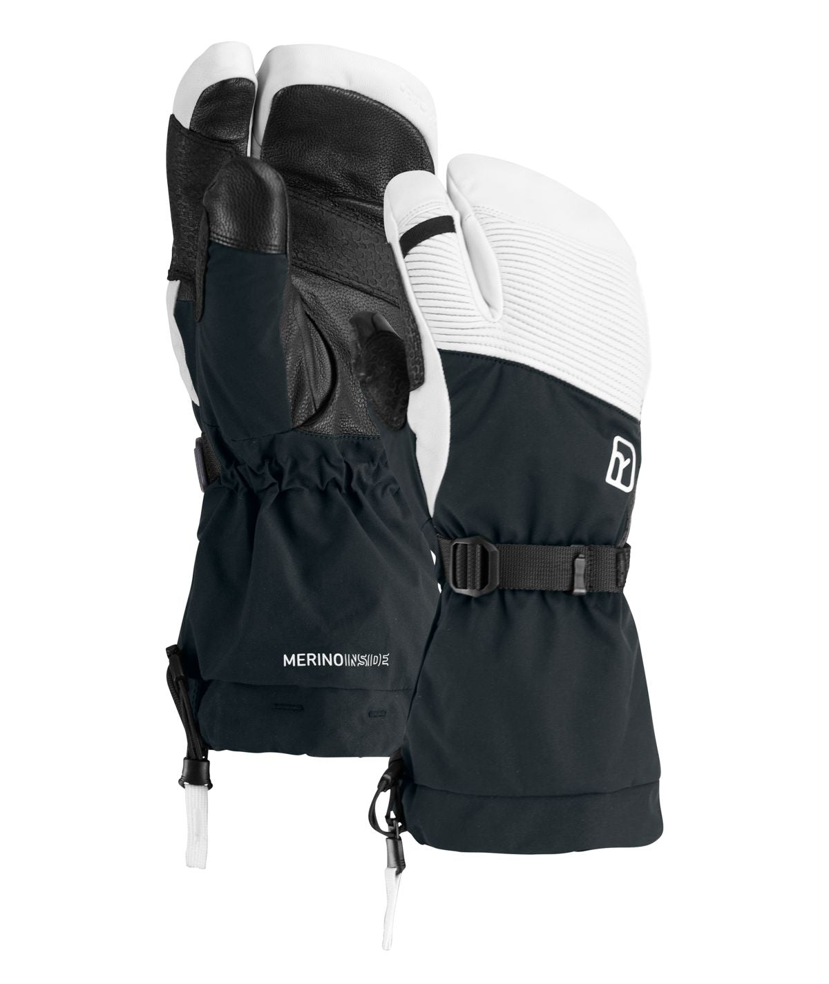 183451-56622-90201-FREERIDE_3_FINGER_GLOVE_PRO_black_raven-B-01.jpg