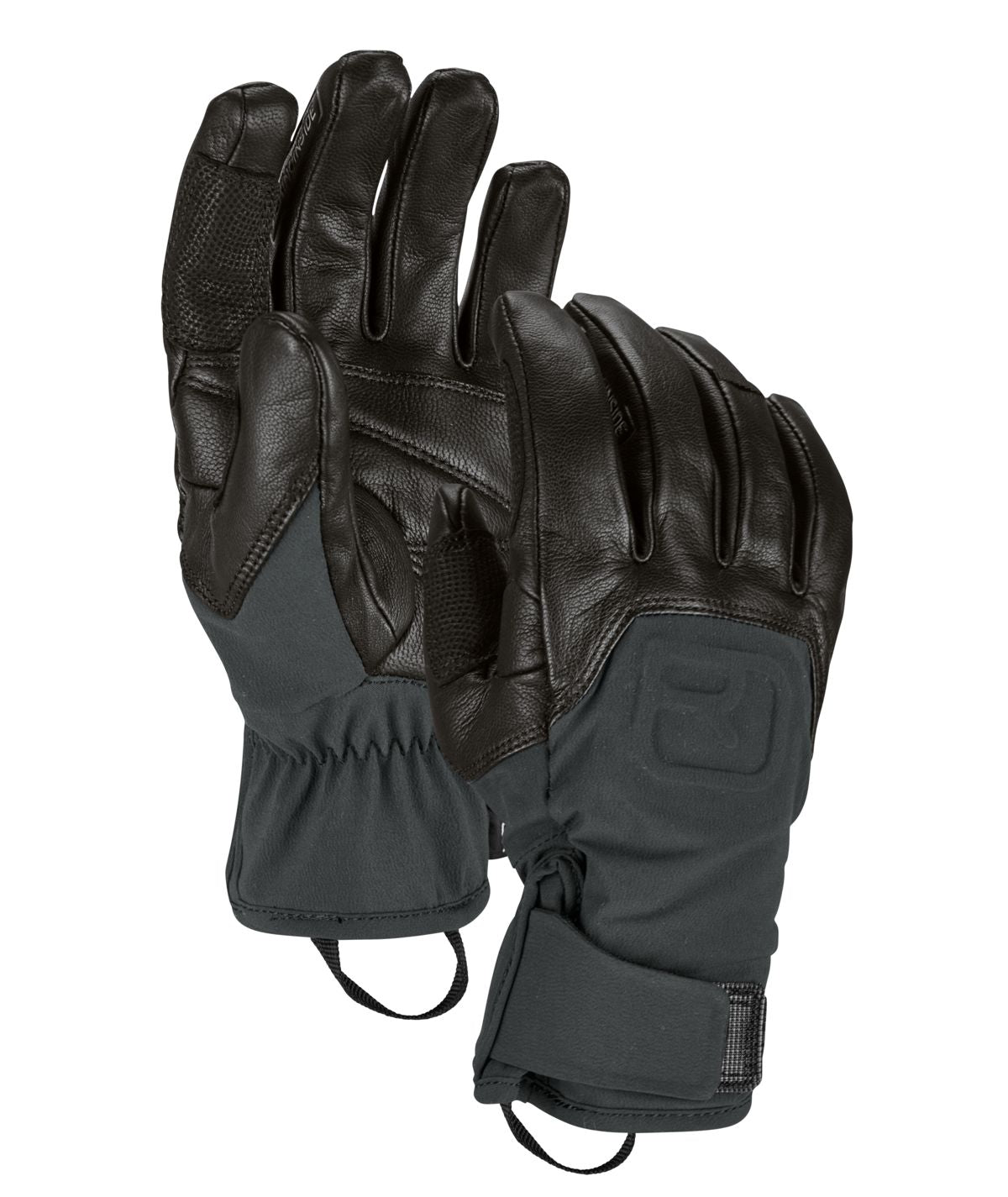 185449-56404-90201-ALPINE_PRO_GLOVE_black_raven-B-01.jpg