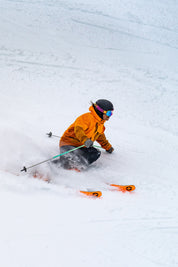 Blizzard Anomaly 88 2027