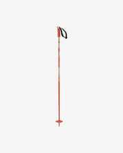 Salomon Steep Pole