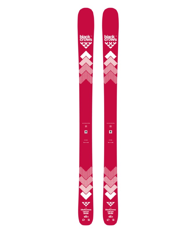 large-202520camox20birdie.png