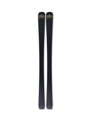 Fischer The Curv Noize GT 85 2027