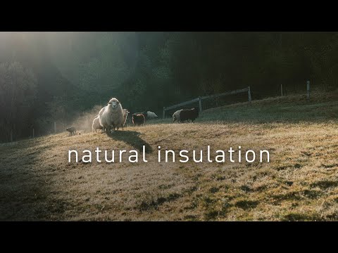 Smartwool Zero Cushion Socks - Women's