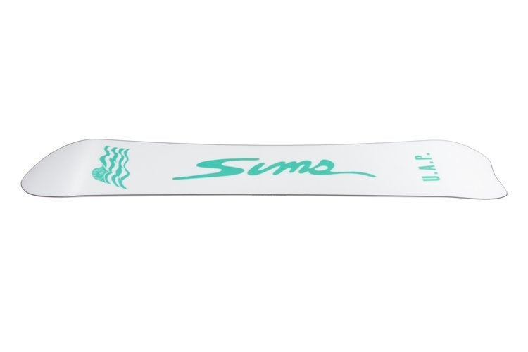 SIMS UAP 2025